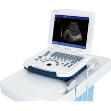 Ultraschallgerät DW-580 Preis